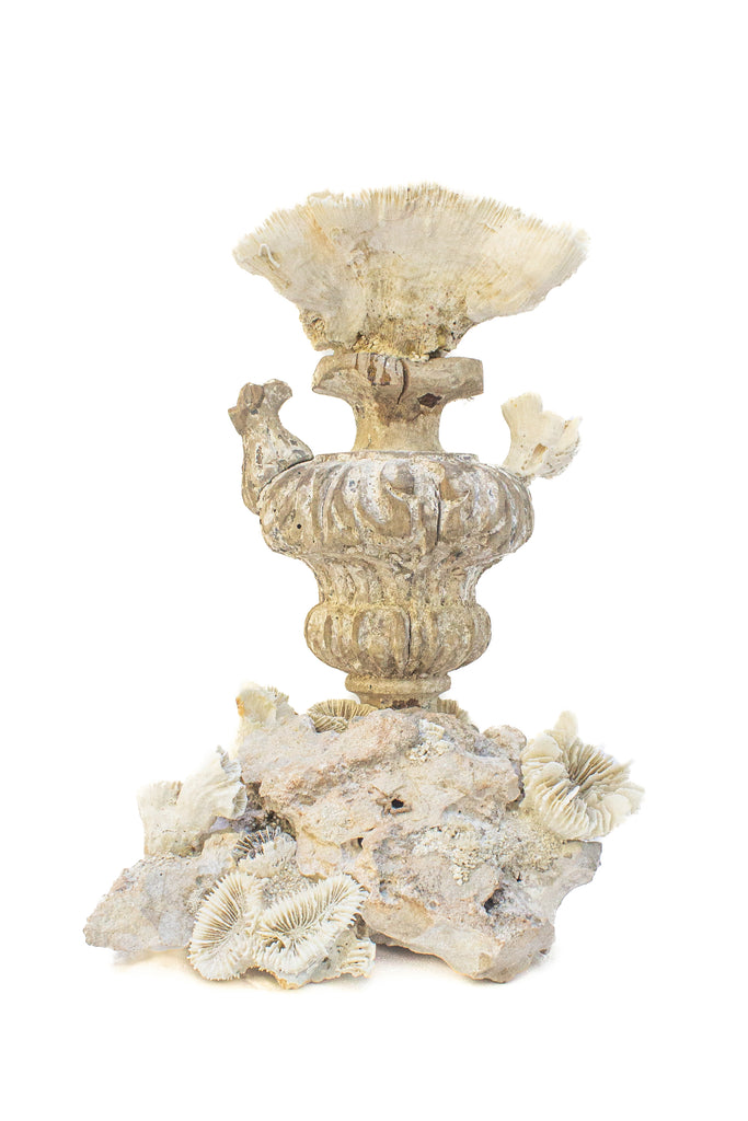 17th century Italian 'Florence Fragment' vase with fossil coral mounted on a fossil coral cluster base.
