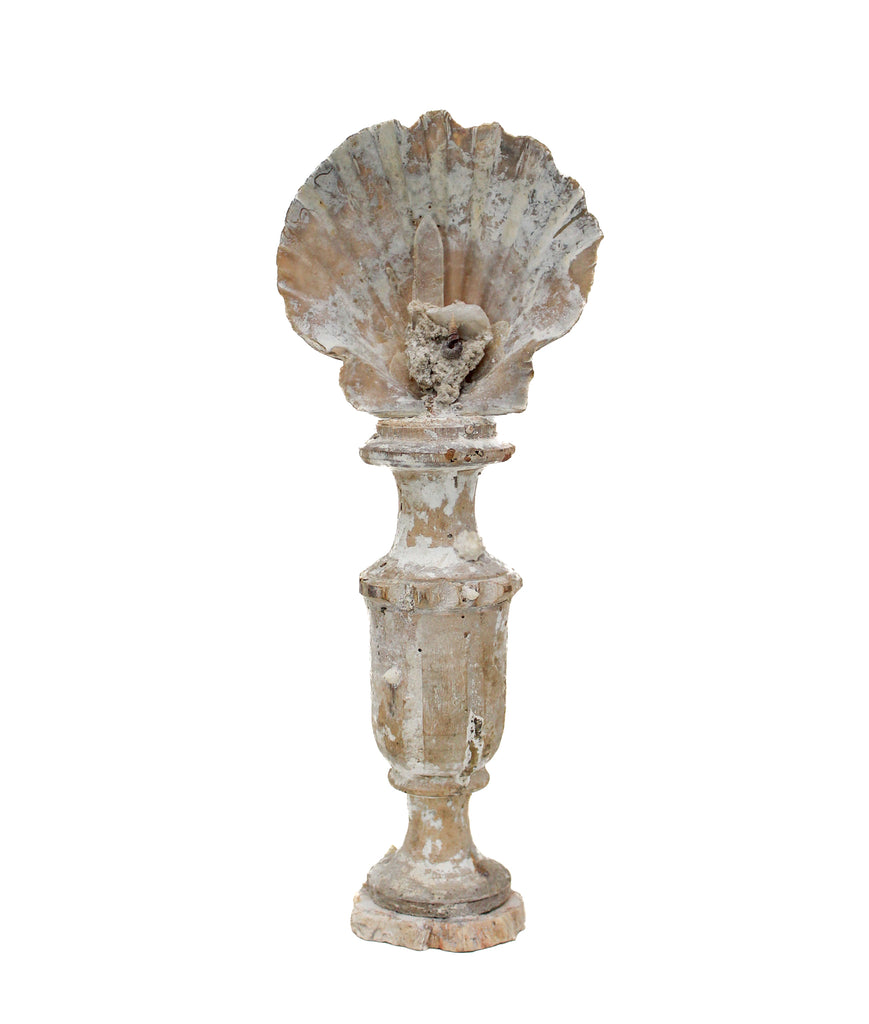 17th century Italian vase with a chesapecten shell, crystal point, and fossil shells on a petrified wood base.