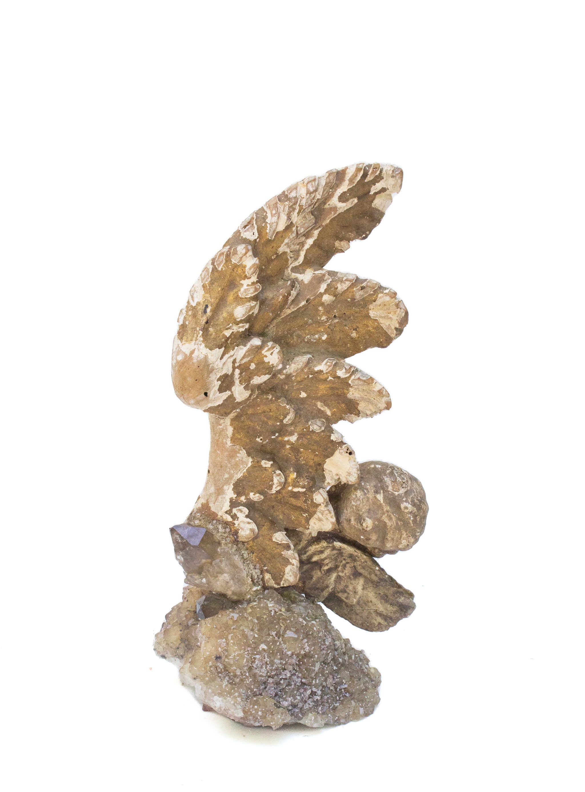 Angel Wing Collection – Interi