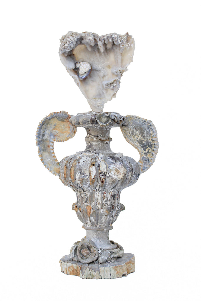 17th or 18th century Italian fragment vase with agate coral, zig zag oyster fossil arms, fossil shells, and a baroque pearl on a polished petrified wood base.