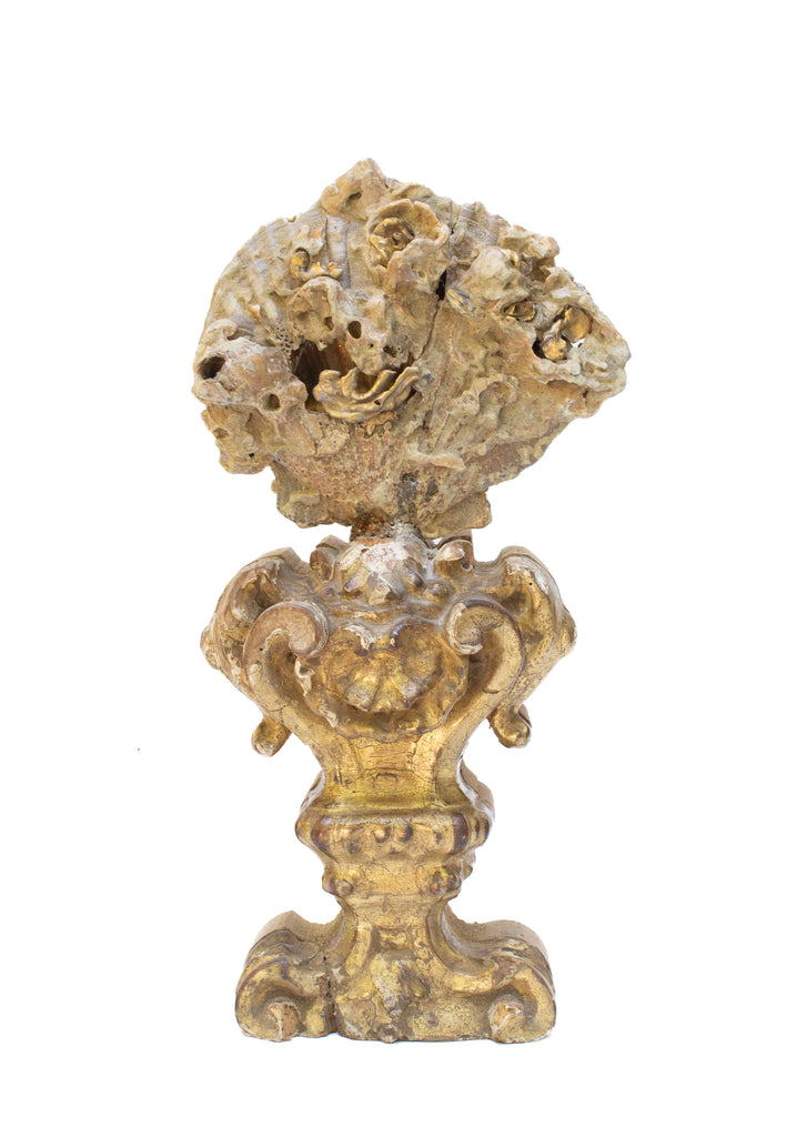 18th century Italian hand-carved and gilded base with a Chesapecten fossil shell formation and natural-forming baroque pearls.