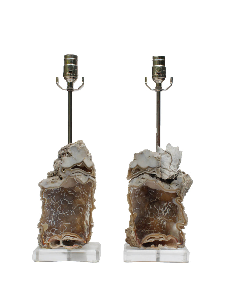 Pair of fossil agate coral lamps mounted on lucite. 