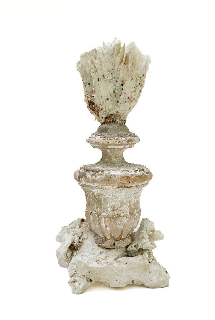 17th century Italian vase with a fossil coral head on a rock coral floret base.
