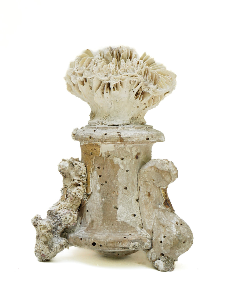 17th century Italian vase with a fossil coral head and a rock coral leg.