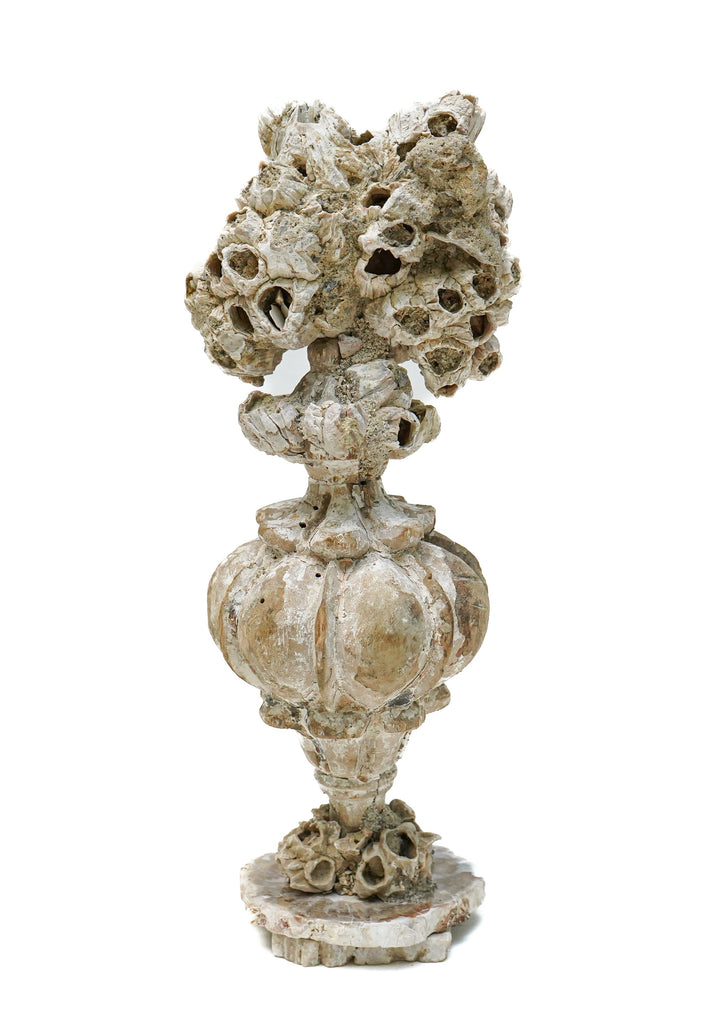 18th century Italian vase mounted with a fossil barnacle cluster and sitting on a petrified wood and barnacle base.