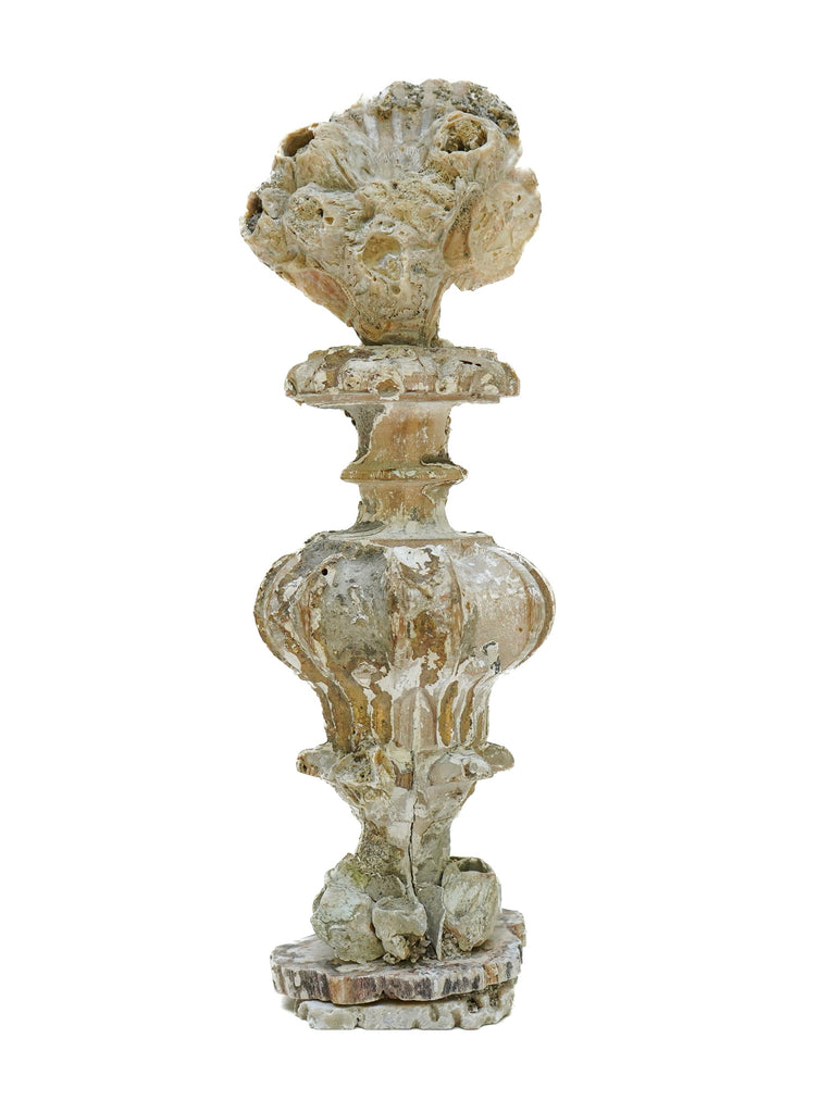 18th century Italian vase mounted with a chesapecten shell with fossil barnacles and sitting on a petrified wood and barnacle base.
